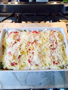 Skinny Lasagne ready for oven photo